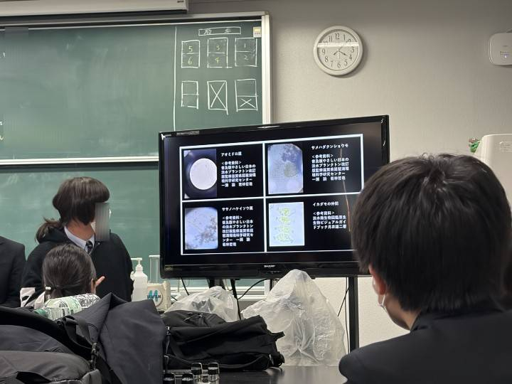 メディア (3) (1)